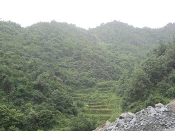 ������ʱ - �������ǲ�!