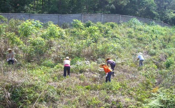 ������ʱ - �������ǲ�!