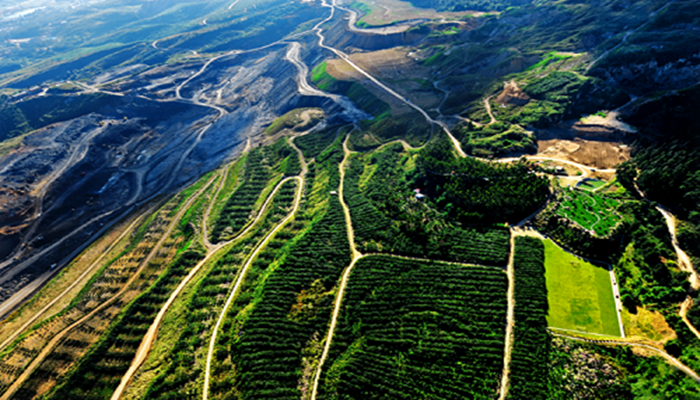 ������ʱ - �������ǲ�!